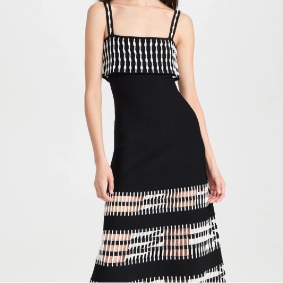 Alexis Dresses & Skirts - Alexis Black and White Patterned Midi Dress